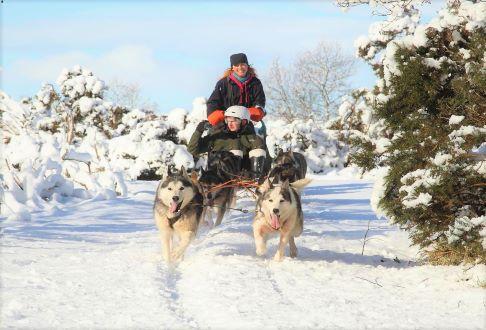 Bowland Trails