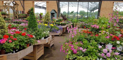 Jamesfield Garden Centre