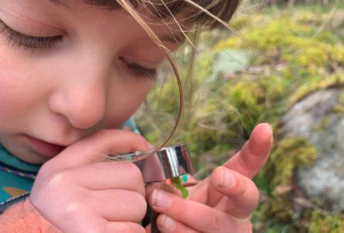 Bushcraft Bairns 