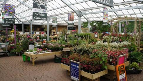 Glendoick Garden Centre