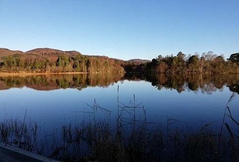 Scottish Wildlife Trust - Loch of the Lowes Visitor Centre and Wildlife Reserve