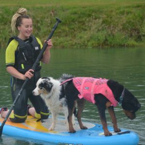 Puppies Go Paddling