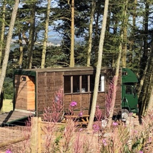 Alexander House Glamping