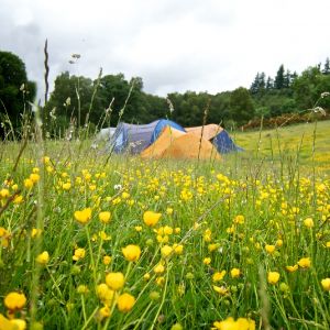 Comrie Croft Hostel and Campsite