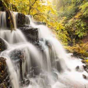 Birks of Aberfeldy