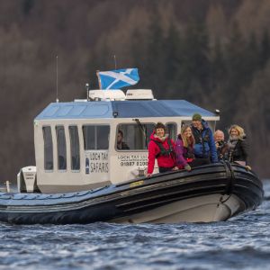 Loch Tay Safaris