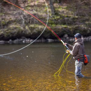 River Tay Fishing (Scone Palace Estates)