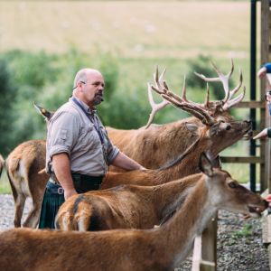 Highland Safaris and Red Deer Centre