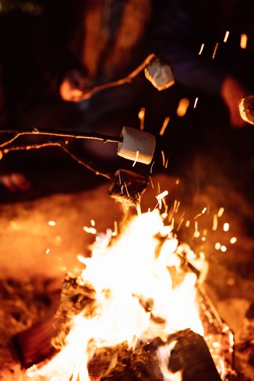 Glamping In The Kata Tents