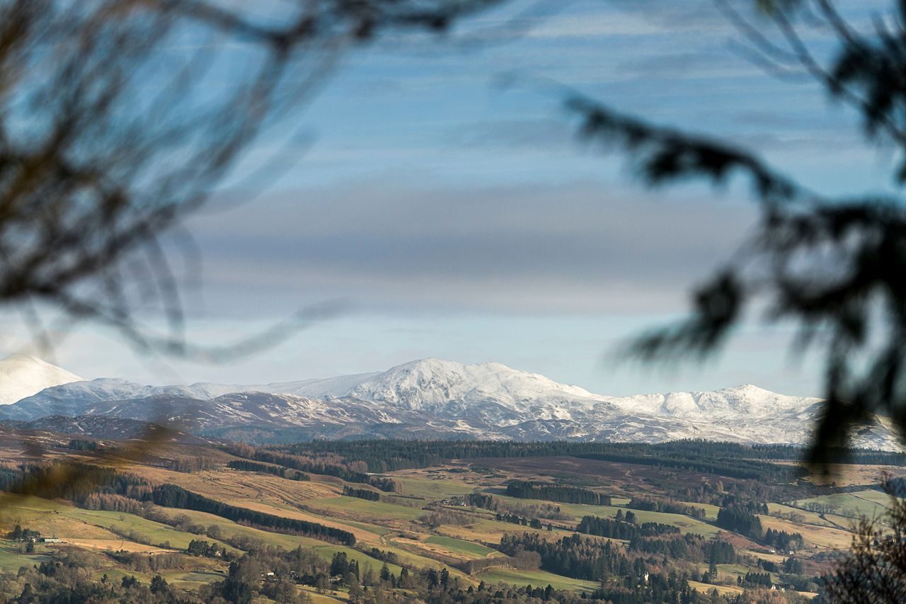 snow capped munro in Scotland taking over fields and between trees