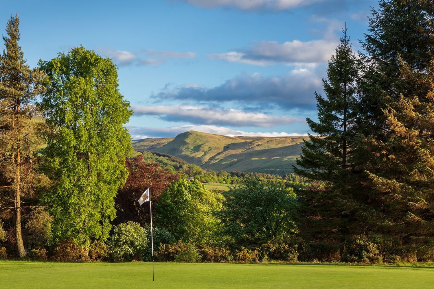 Green golf hole,  area surrounded by large green and red trees on a sunny day with rolling green hills in the distance.