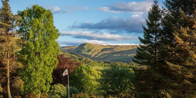 Green golf hole,  area surrounded by large green and red trees on a sunny day with rolling green hills in the distance.