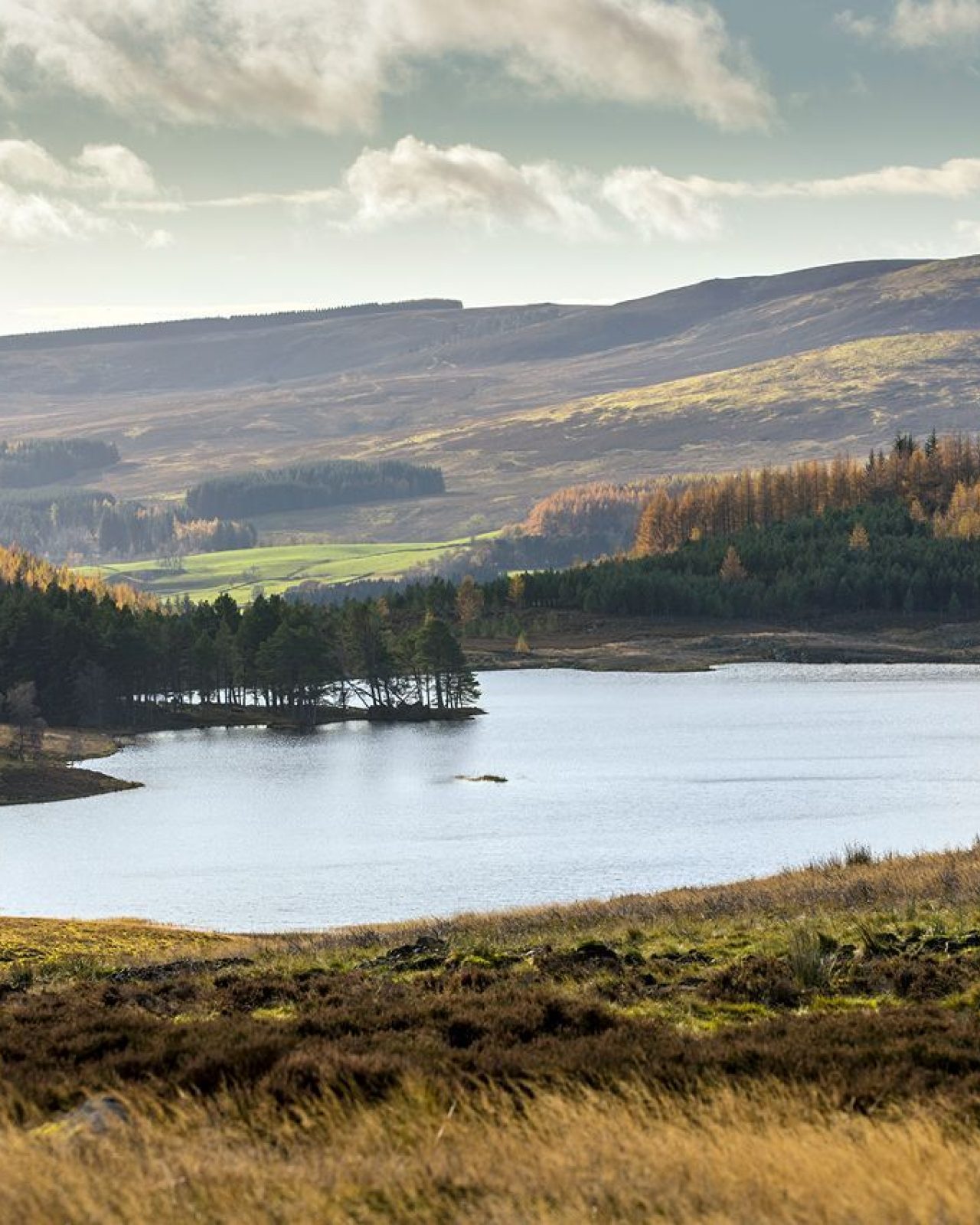 The Cateran Trail