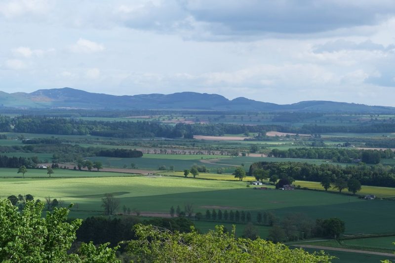Sidlaw hills Blairgowrie