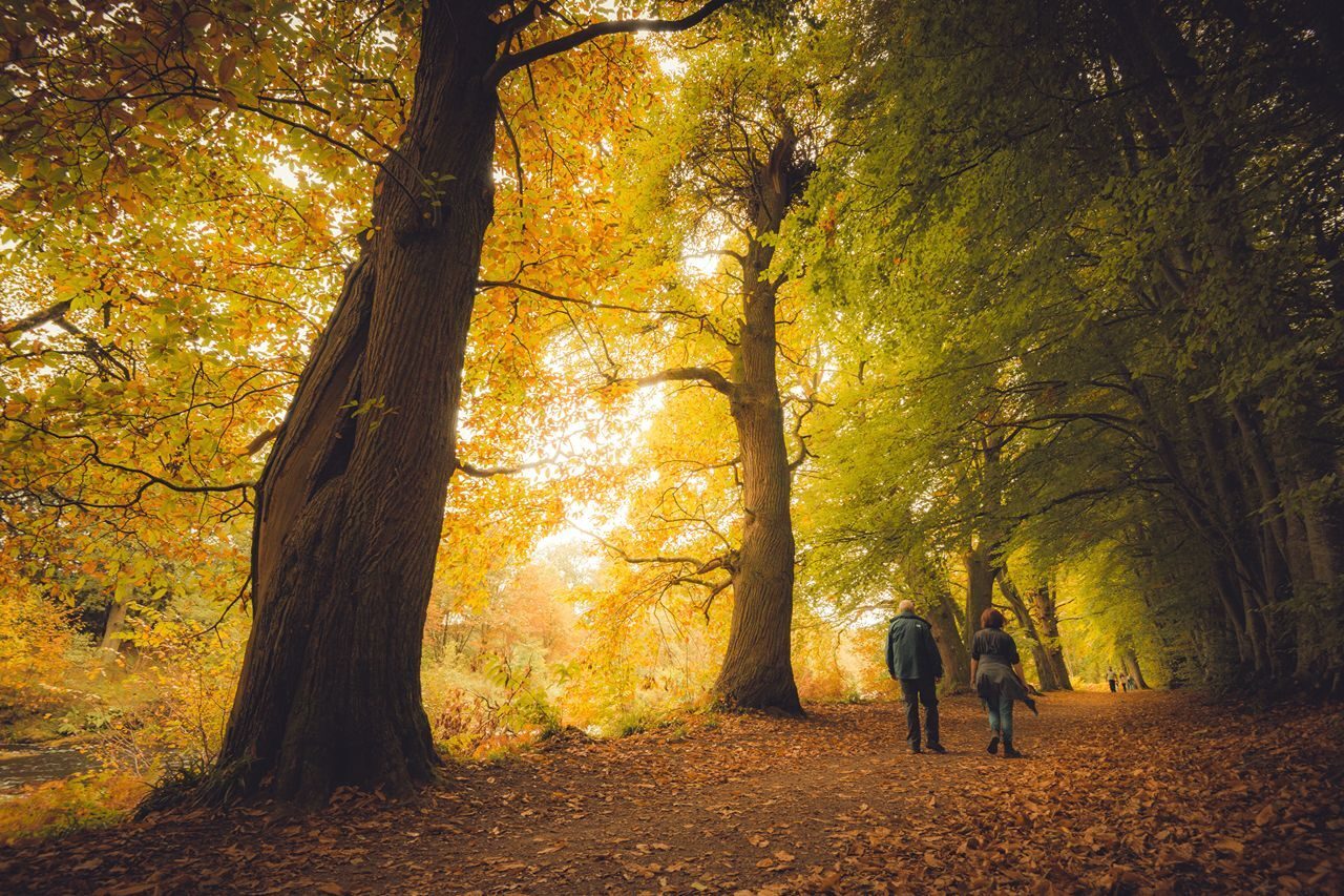 Lady Marys Walk Visit Scotland