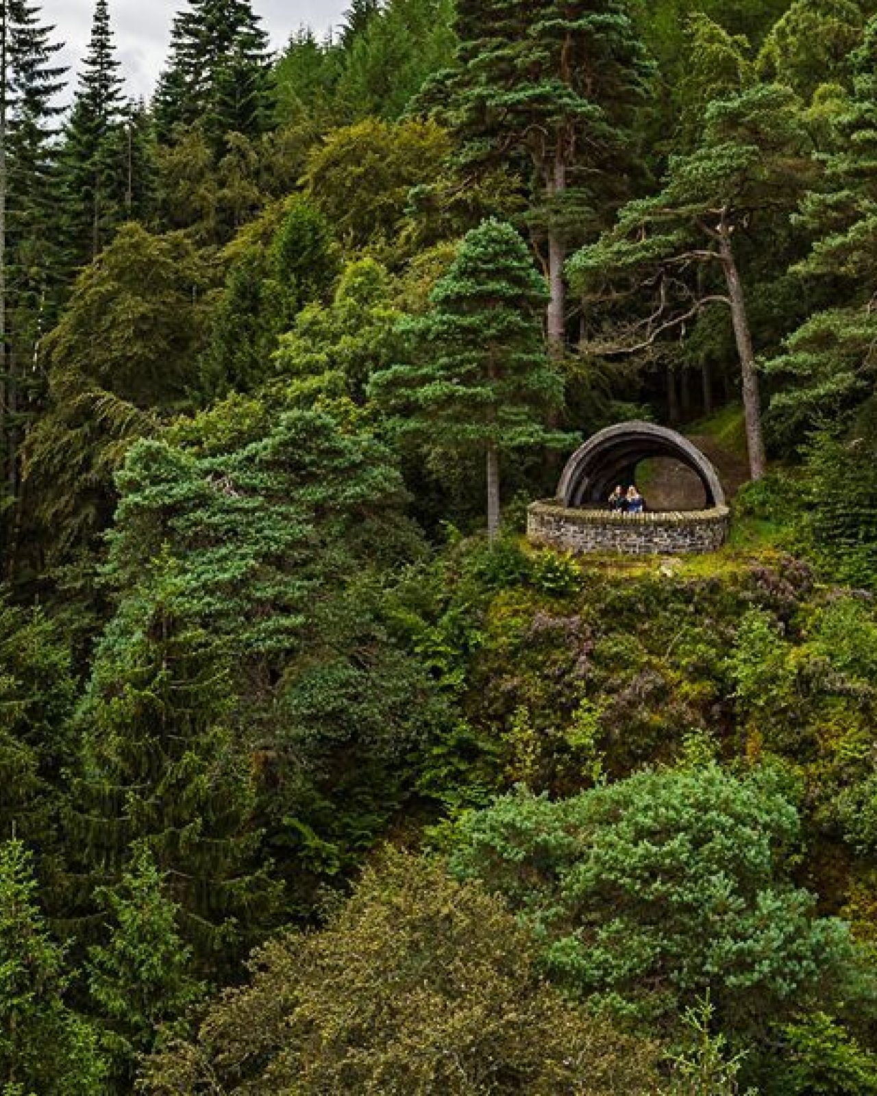 It shows a wooden shelter in the shape of a Pine Cone on top of a hill surrounded by green trees. The image is taken from above.