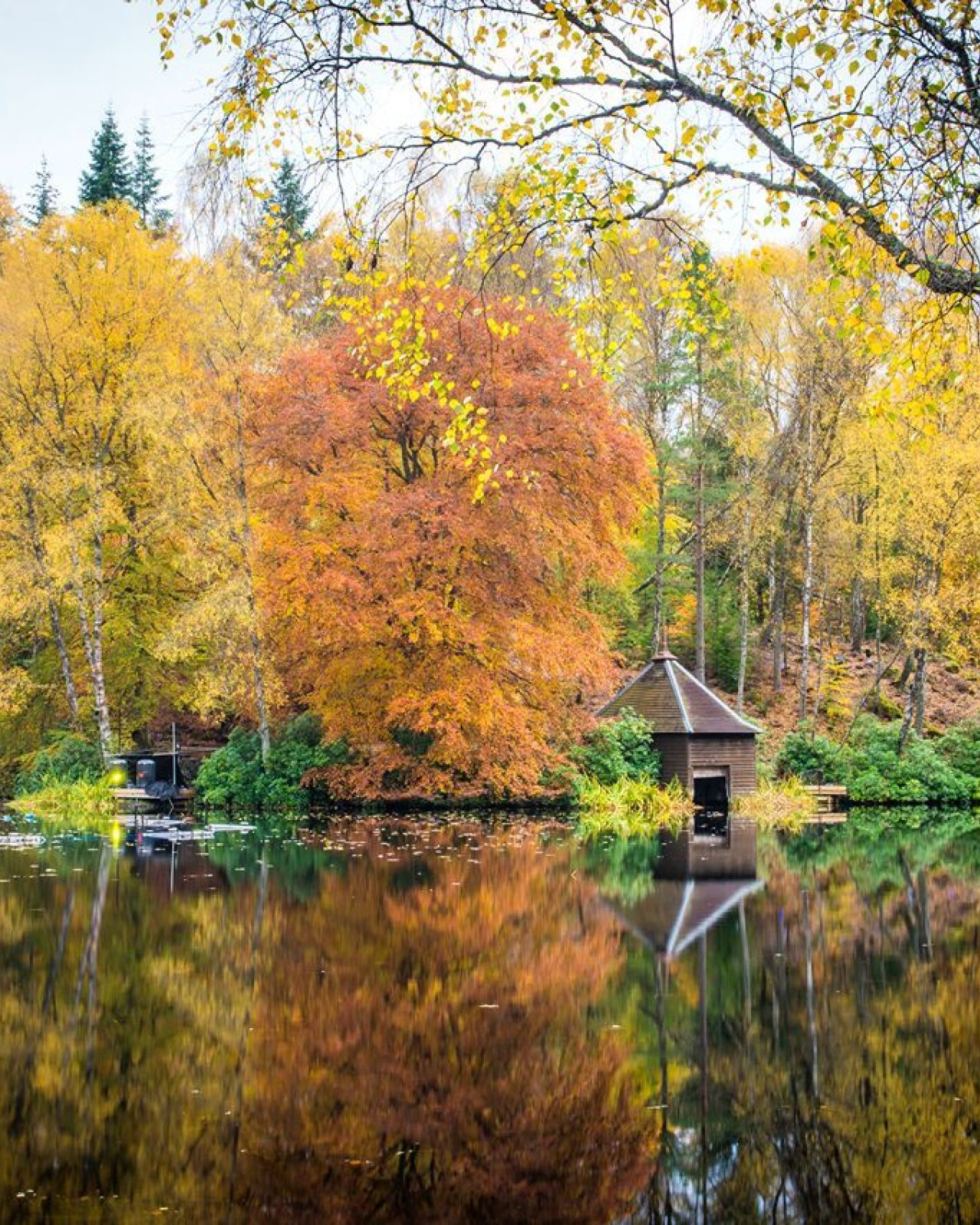 Large pond reflecting the Autumnal trees, in shades of yellow, greens and orange and a small wooden structure.