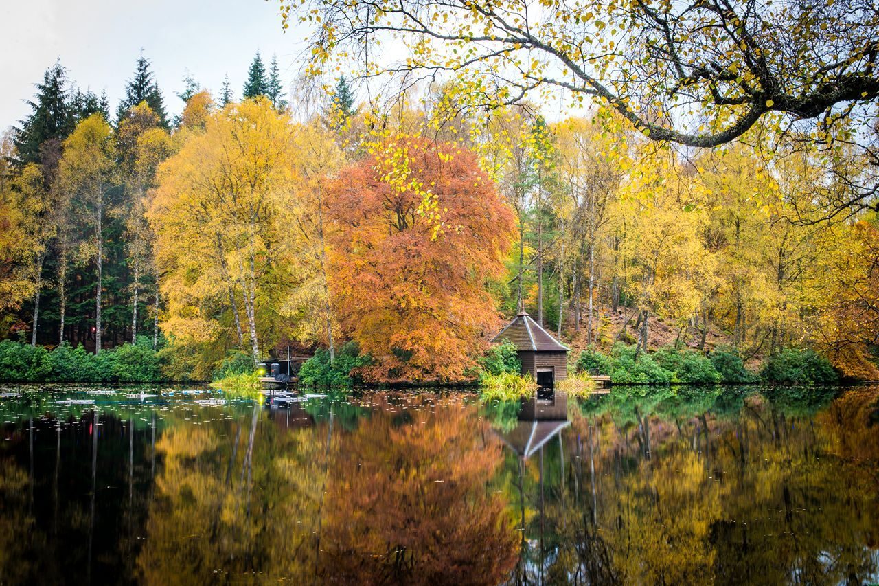 Large pond reflecting the Autumnal trees, in shades of yellow, greens and orange and a small wooden structure.