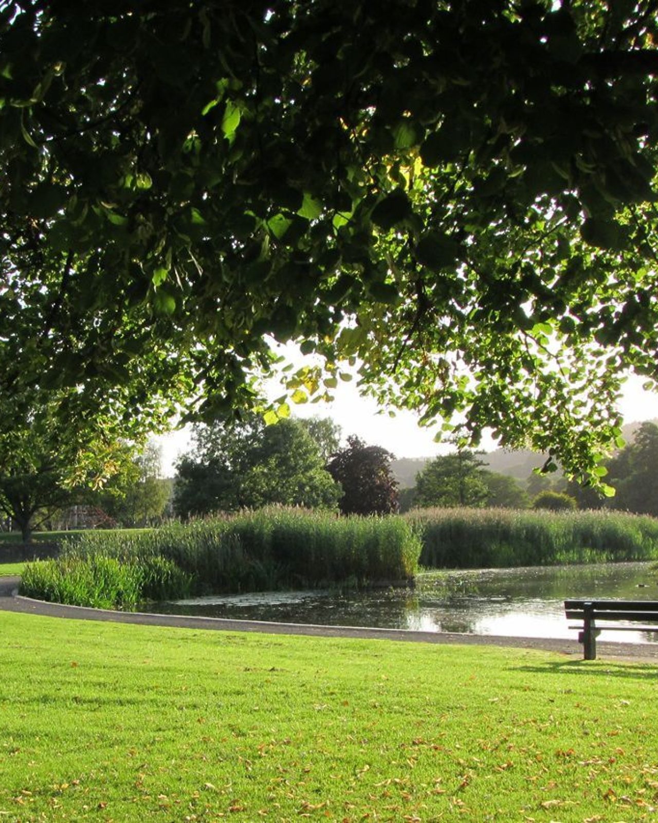 Green space with bench overlooking a large pond South Inch Perth
