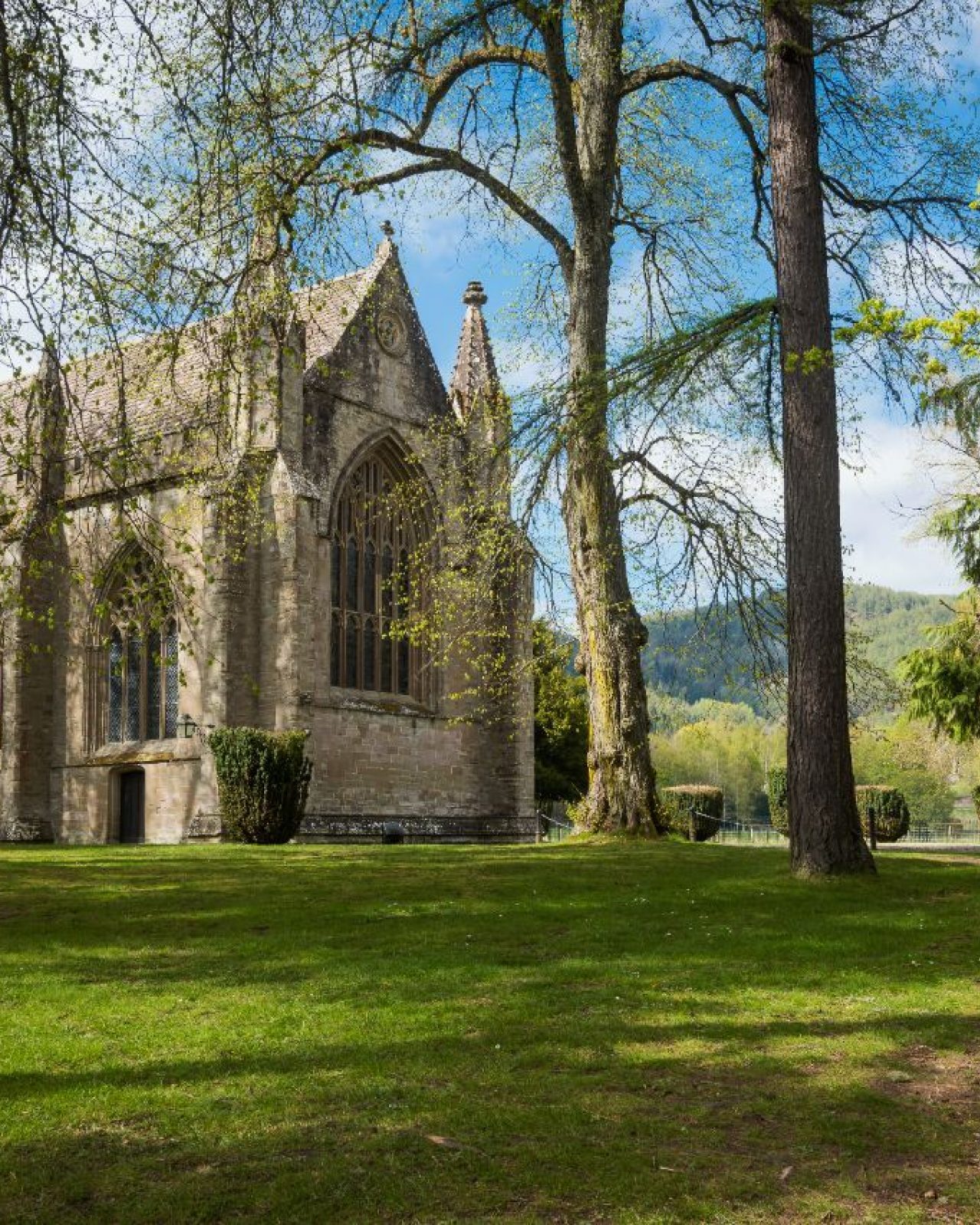 Shows an old cathedral building in the corner of the image with trees surrounding it.