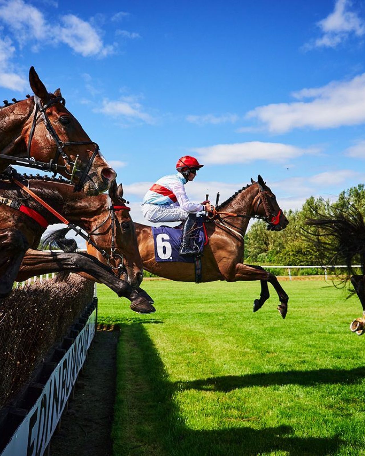 Horses and jockeys racing across hedges on a green lawn with blue skies