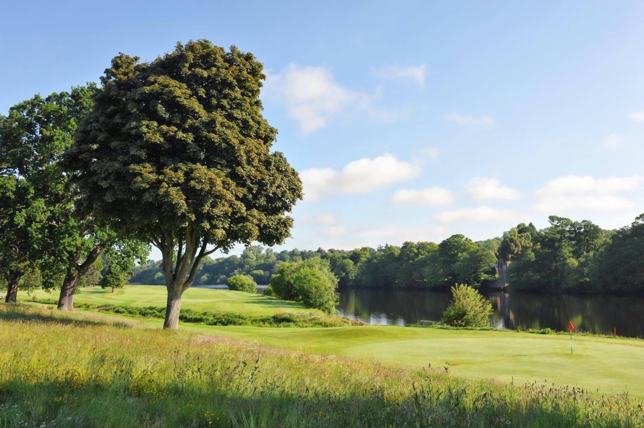 Large trees sitting on the grassy banks of the River Tay in Perth