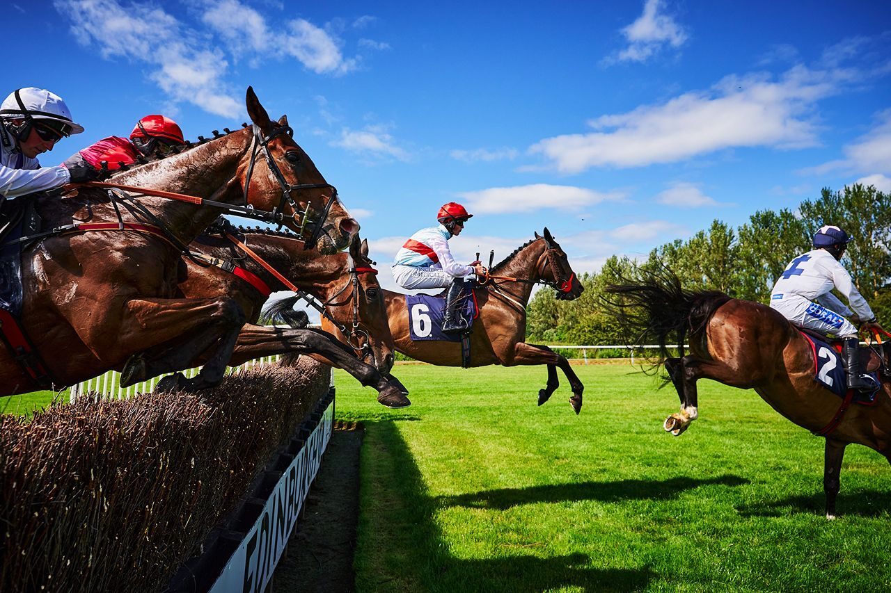 Horses and jockeys racing across hedges on a green lawn with blue skies