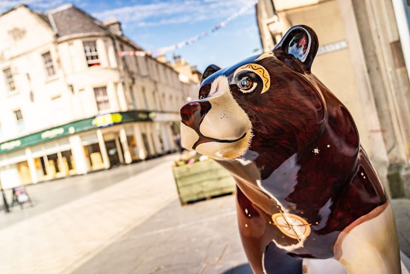 A brown bear with a compass painted on it's chest.