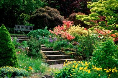 Branklyn Gardens Autumn