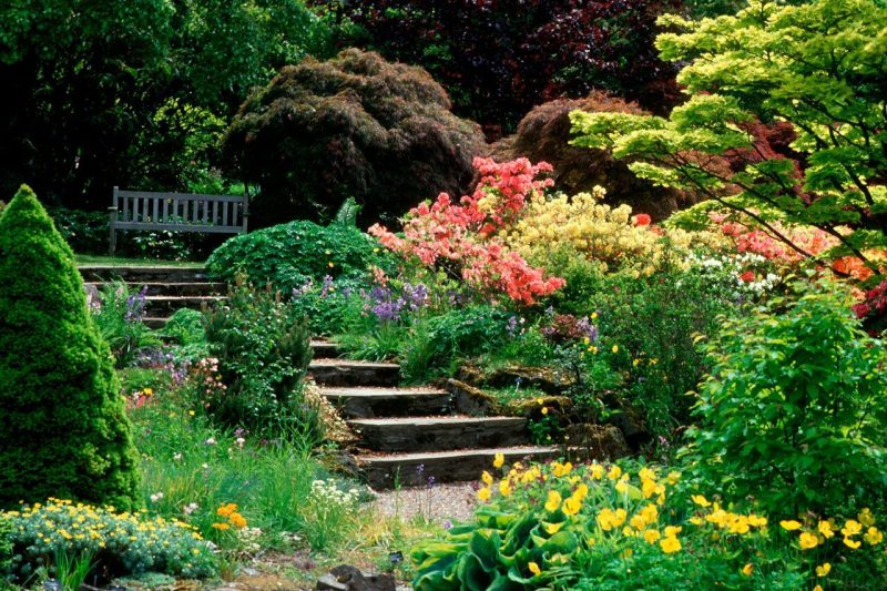 Branklyn Gardens Autumn