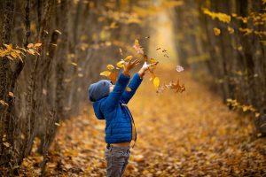 October Bot outdoor leaves 1280x853