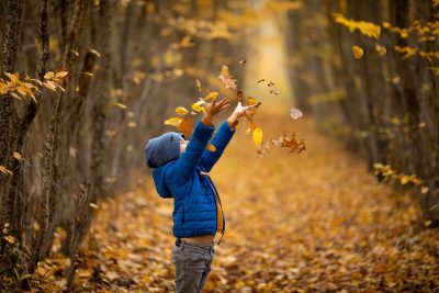 October Bot outdoor leaves 1280x853