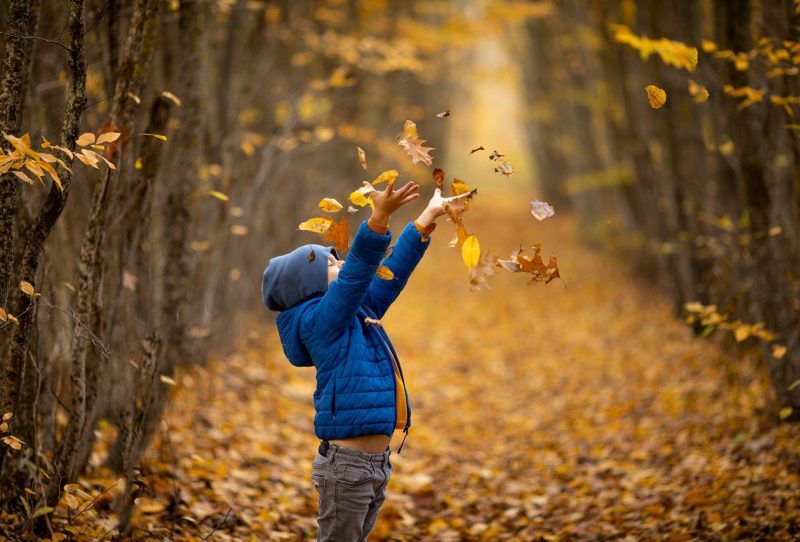 October Bot outdoor leaves 1280x853