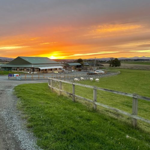 Broadslap Fruit Farm