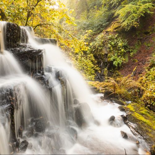 Water cascading down large grey stones within a forest setting, with yellow leaves on trees.