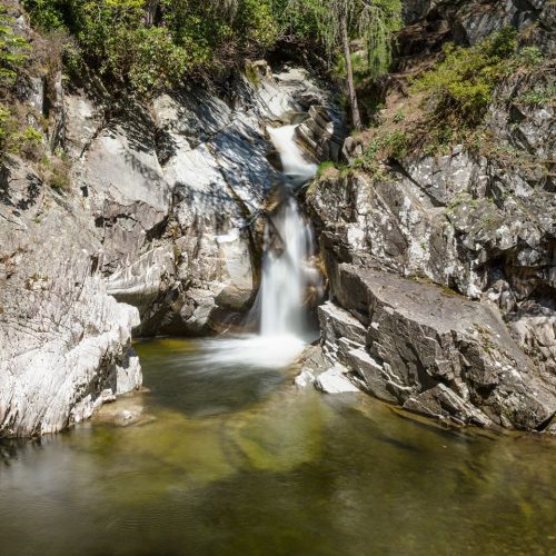 A waterfall pouring into a green, brown pool between large grey stone rocks and surrounded by trees .