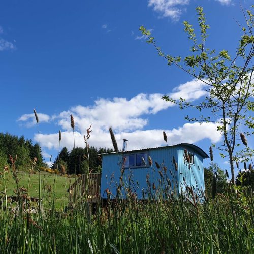 Blue painted small cabin on a sunny day , with blue skies and green trees in background
