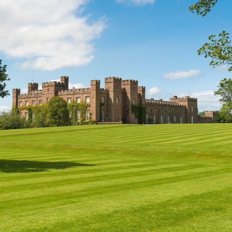 Scone Palace lawn and tree