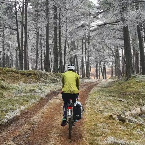 Person cyclng along a forest track in winter with snow on branches wearing a yellow top and white helmet.