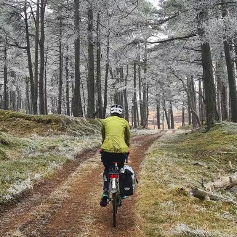 Person cyclng along a forest track in winter with snow on branches wearing a yellow top and white helmet.