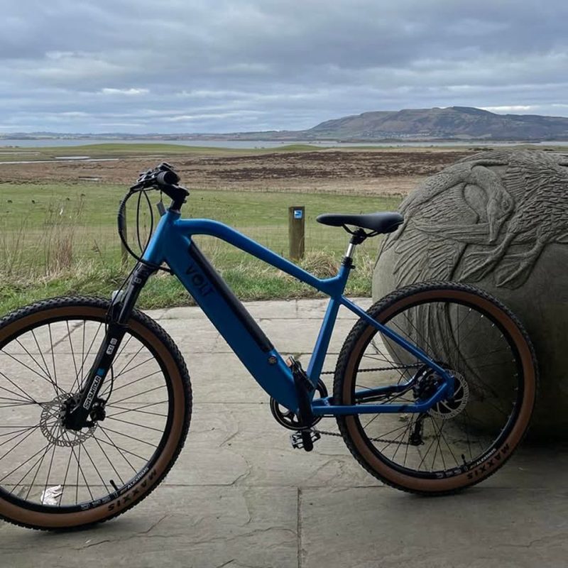 Blue VOLT bike beside a round, stone sculpture with carved swans,  with  green grass and brown,  then a loch with hills in the distance.