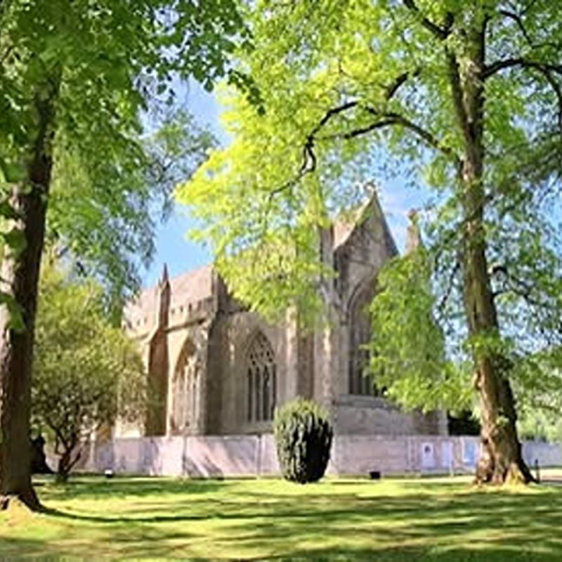Large old stone Cathedral surrounded by large green trees under a blue sky.