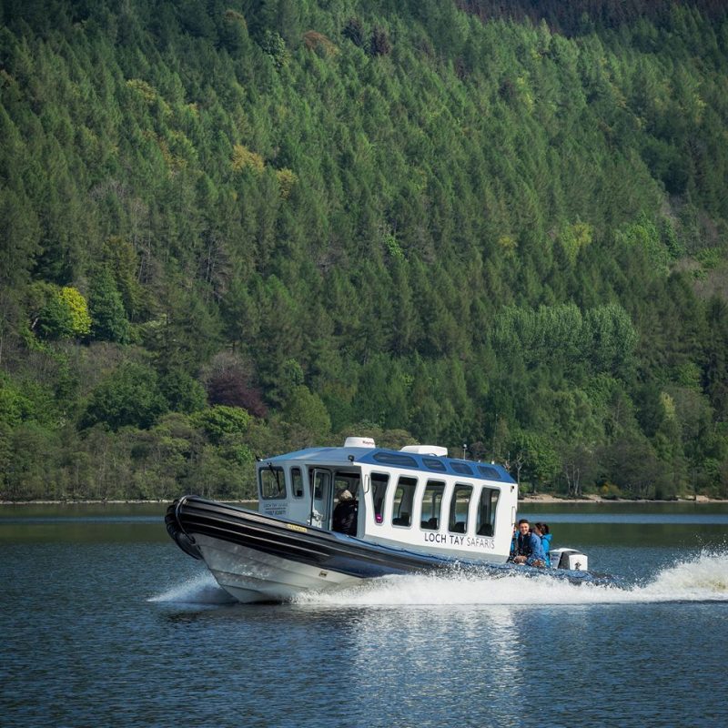 Small white boat on Loch Tay with large green forest at edge of water