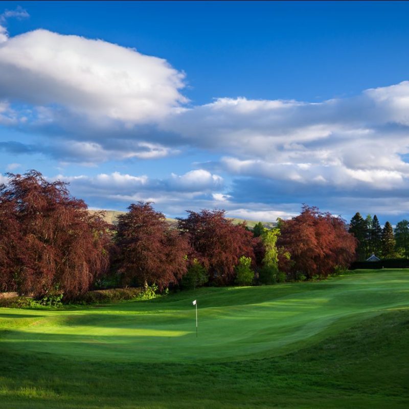 Large green fairway, with hole and flag with red and green trees in distance, under a blue sky with blue clouds.