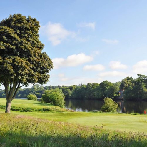 View of river Tay in Perth, to right and green grass  and trees in foreground under a blue sky with a few white clouds.