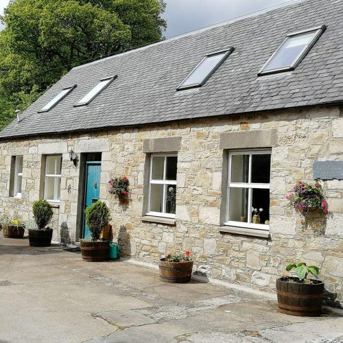 Lovely stone built cottage with flowering planters beside a turqouise door . slate roof with 4 velux widows