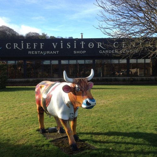 Sculpture of brightly painted Highland cow in front of a building with sign for Crieff Visitor Centre