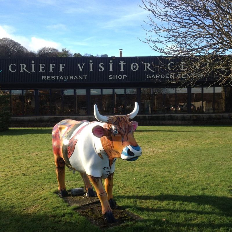 Sculpture of brightly painted Highland cow in front of a building with sign for Crieff Visitor Centre