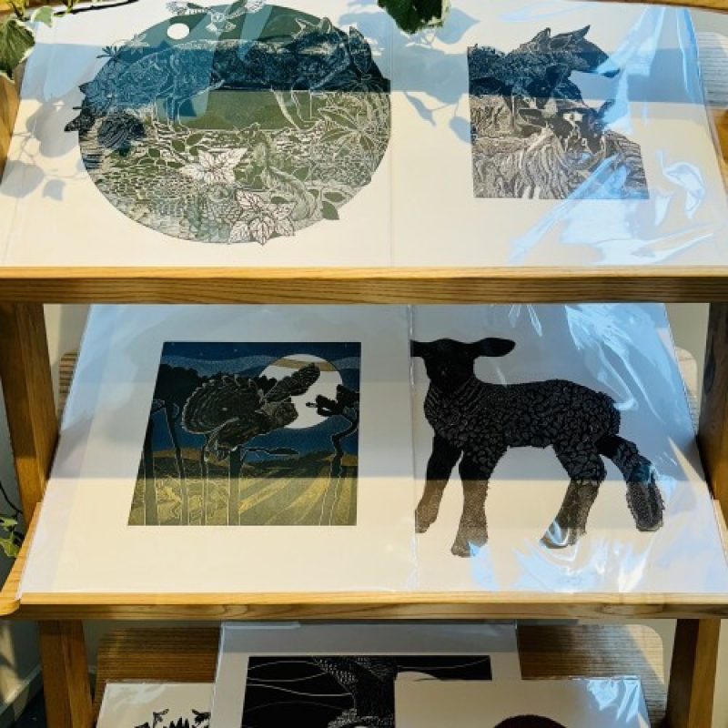 Babs Pease Designs Birnam Arts Gift Shop