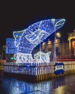 Giant lit up blue, leaping salmon light sculpture at night  in Perth